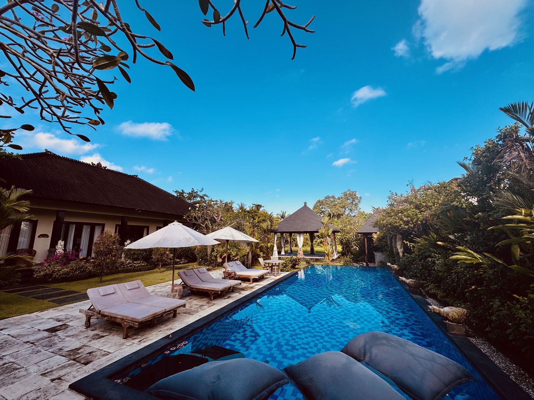 The pool from above on a clear day, loungers along the water and palms against a blue sky